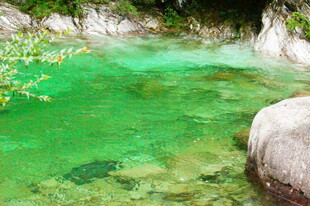 碧绿清澈的山间溪流