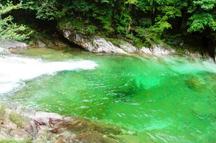 碧绿清澈的山间溪流