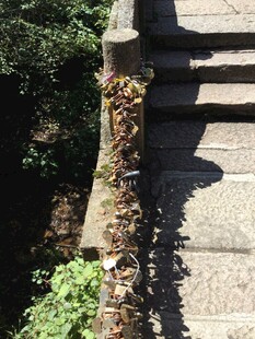 石阶边缘的绿植景观