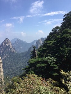 壮丽山景 葱郁山林