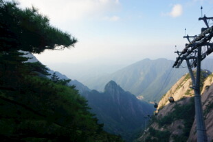 壮美山景中的挺拔树木