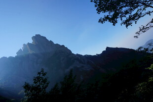 山间晨景 雾绕峰林绿意浓
