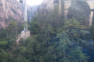 山间栈道隐于葱郁林木间