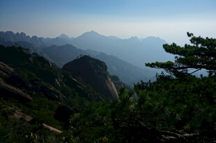 山峦叠翠间的葱郁美景