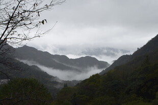 山间云雾缭绕的秀丽景致
