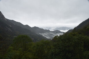 云雾缭绕的山间景致