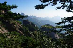 黄山美景 山林与远处山峦
