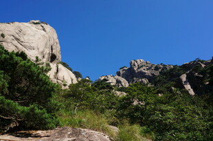 巍峨山石旁的葱郁植被
