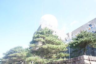 阳光下的建筑与葱郁树木