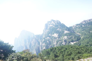 巍峨青山绿意浓