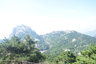 秀丽山景与葱郁林木