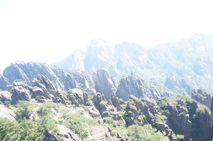 壮丽山景 岩石与绿植交织