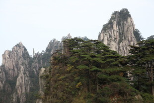 巍峨黄山奇峰劲松景观