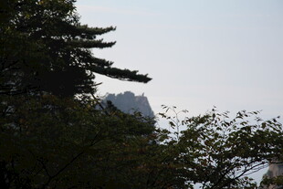 山林间隐约可见的山景