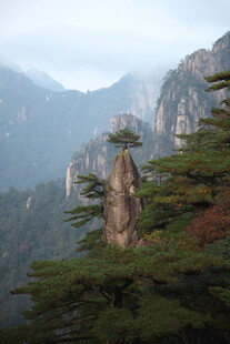 黄山奇峰与苍松景观