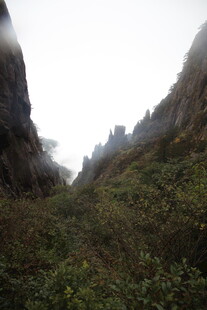 山间绿意盎然的峡谷景色