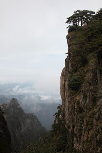 悬崖峭壁上的孤松