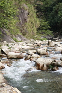 山间溪流与嶙峋石块景观