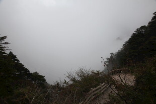 山间云雾缭绕的石阶小径