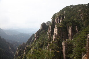 峻峭山峰绿意盎然