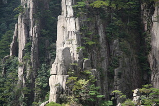 壮观奇峰林立的山林景观