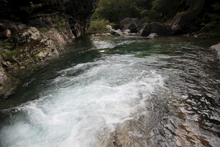 山间湍急溪流