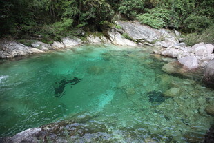 清澈碧绿的山间幽潭