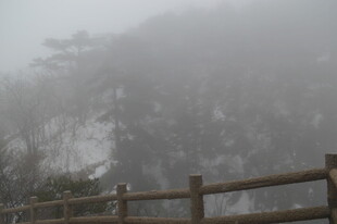 雾中木栏与朦胧山林