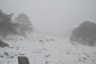 雪后雾中朦胧山林景象