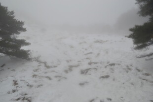 雾中雪景 山林覆雪朦胧美