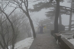 雾中雪径漫步景