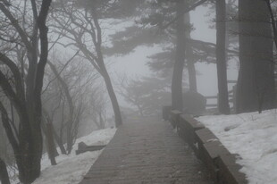 雾中雪径 山林静谧之景