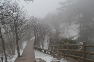 雪雾中的山间栈道