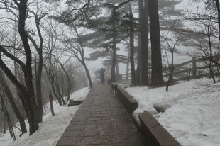 雪后林间小道的静谧景致