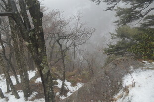 雪覆山林 雾气弥漫之景