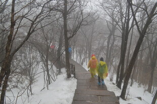 雪天行人漫步林间小道
