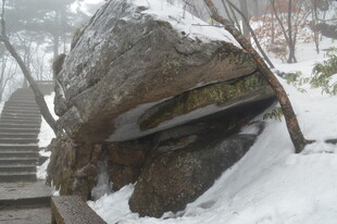 雪覆巨石旁的林间石阶