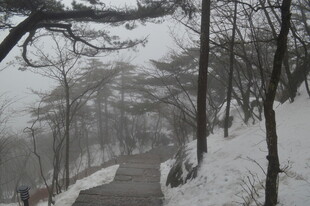 雪覆山林间的幽静小道