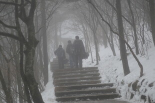 雪后林间漫步的行人