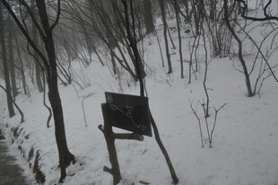 雪地中的简易黑色标志牌