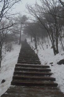 雪覆石阶 山林雾霭景致
