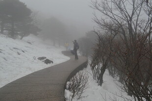 雪雾中独行的步道身影