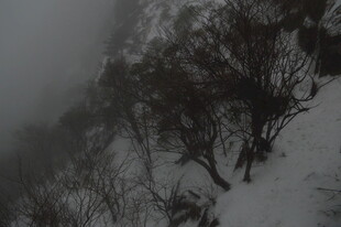 雪覆山林 雾气弥漫之景