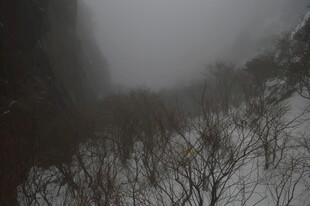 雾中雪覆山林景象