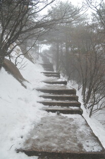 雪覆石阶 冬日静谧景致