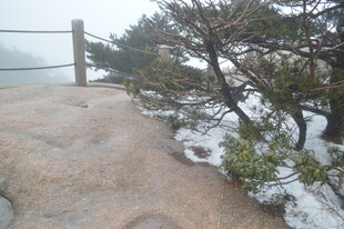 山间雪景中的岩石与树木