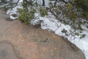 雪地旁的岩石小径