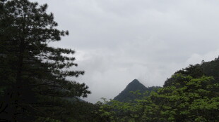 山林间的朦胧山峰景色