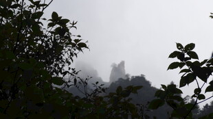 雾中朦胧山林景色