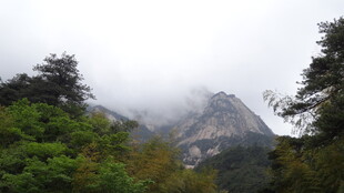 云雾缭绕的葱郁山峰